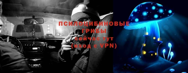 марки lsd Краснослободск