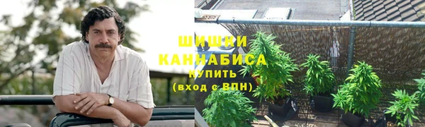МДПВ Рославль