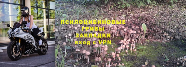 каннабис Костерёво