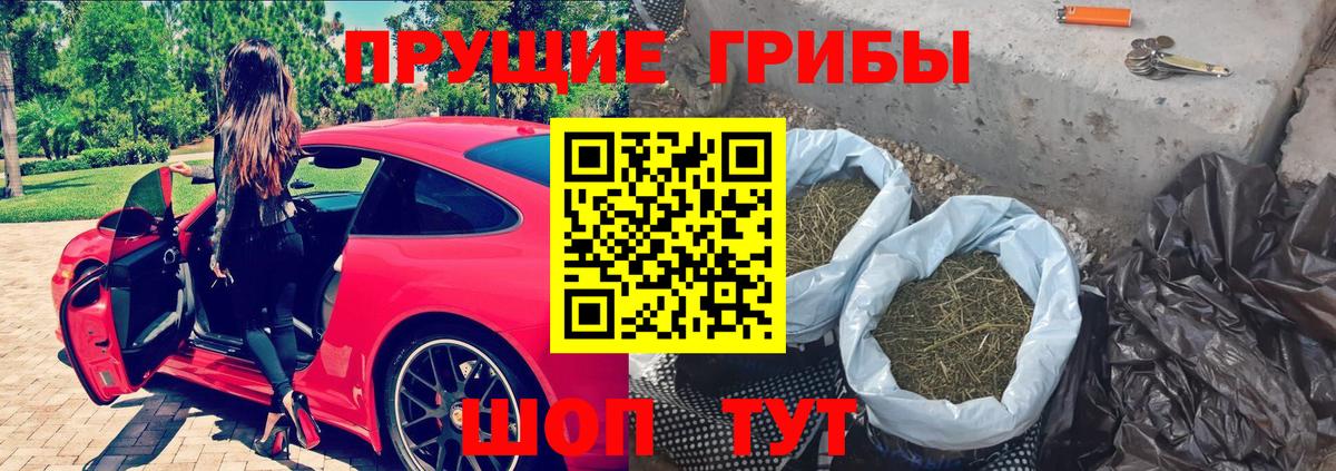 Галлюциногенные грибы Magic Shrooms Костомукша